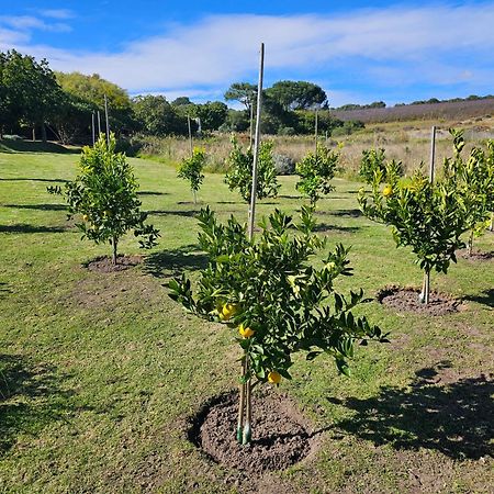 Die Heerenhuys Guest Suites Stellenbosch Kültér fotó