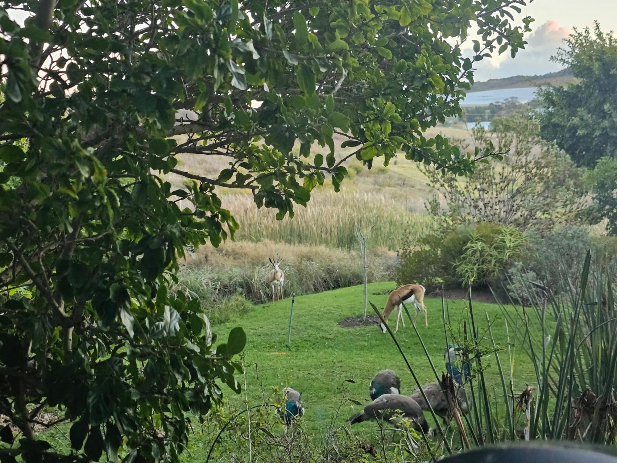 Die Heerenhuys Guest Suites Stellenbosch Kültér fotó
