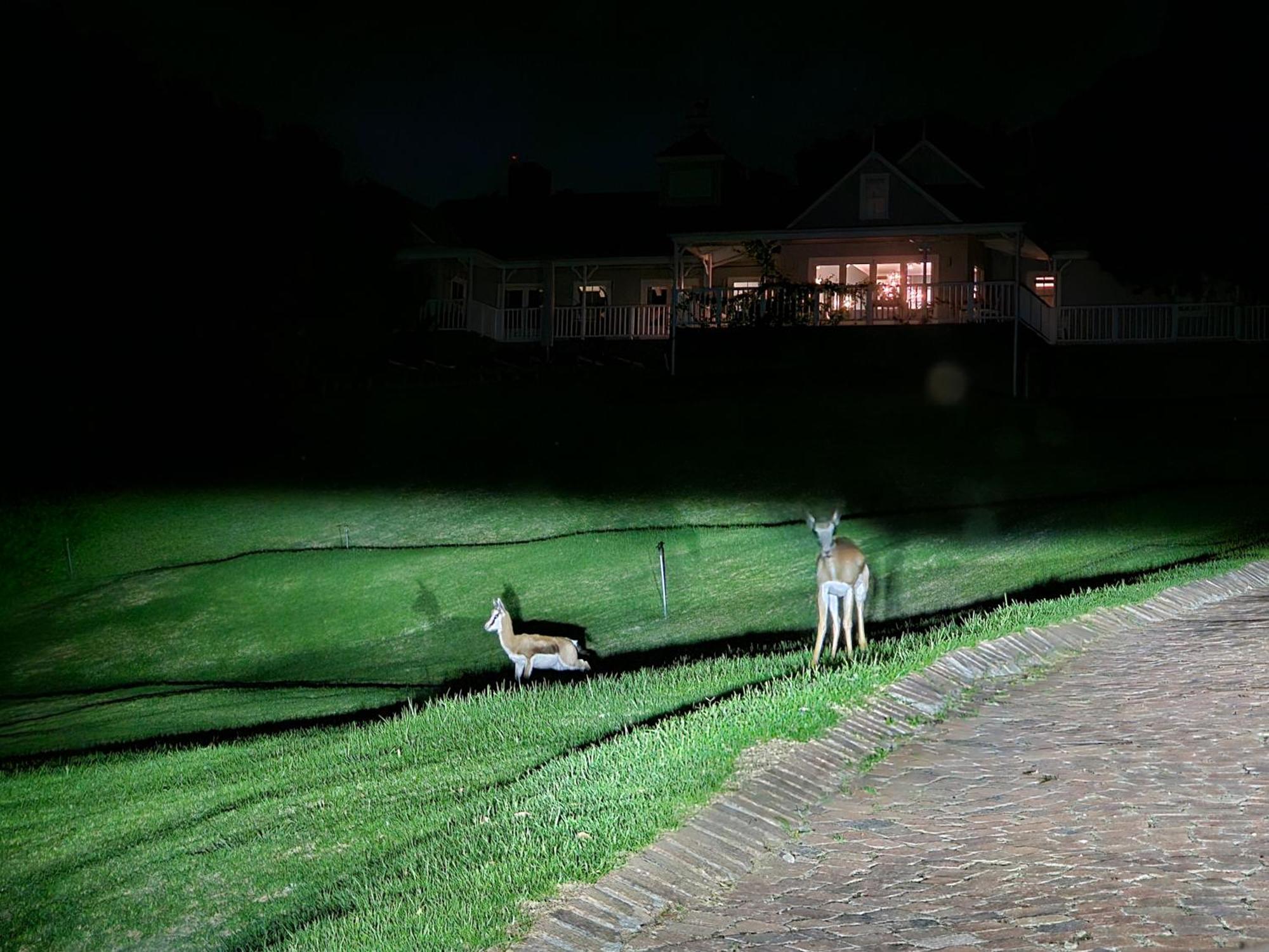 Die Heerenhuys Guest Suites Stellenbosch Kültér fotó